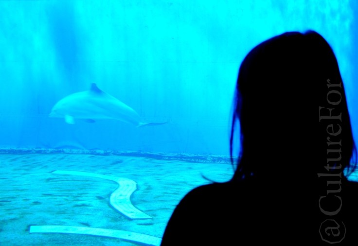 Acquario di Genova_www.culturefor.com-2