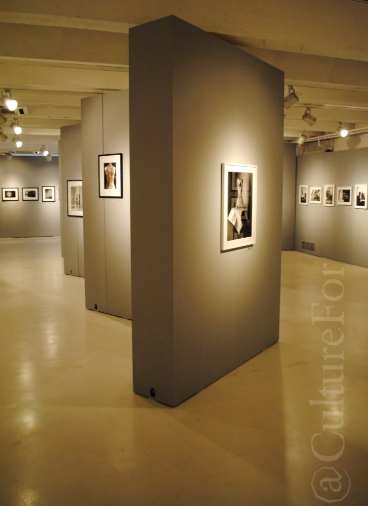 Alfa Castaldi @Galleria Carla Sozzani _www.culturefor.com-4