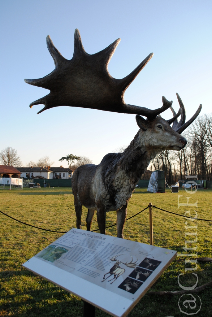 Dinosauri @Parco di Monza_www.culturefor.com-7