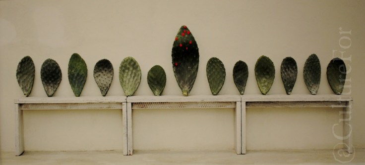 Mario Cresci @Galleria Photology_www.culturefor.com-5