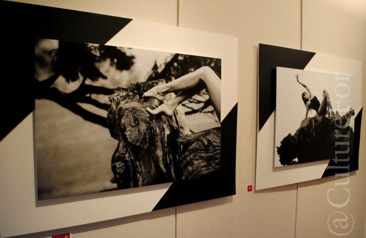 Anima.Re @Serrone, Monza_www.culturefor.com