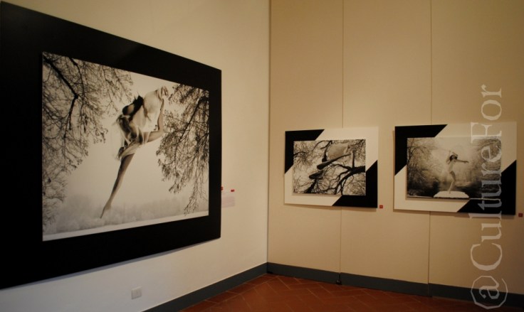 Anima.Re @Serrone, Monza_www.culturefor.com