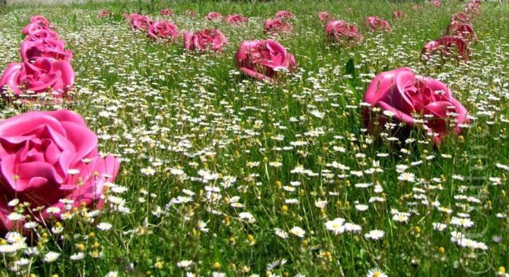 Pianeta Cina @ Palazzo Tè Mantova _www.culturefor.com