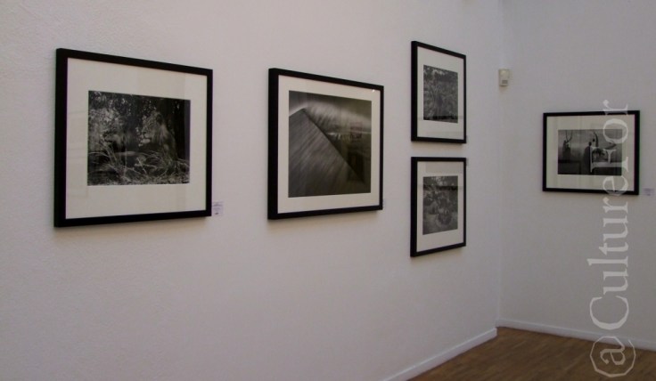 Salgado @Galleria Forma _www.culturefor.com