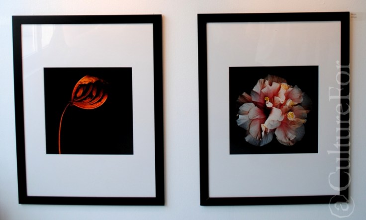 A Glimpse at Photo Vogue @Galleria Sozzani_www.culturefor.com