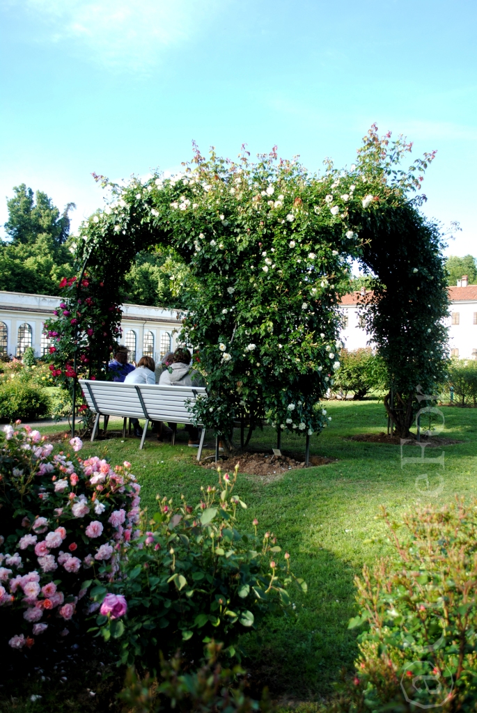 Il Roseto della Villa Reale @Monza_www.culturefor.com