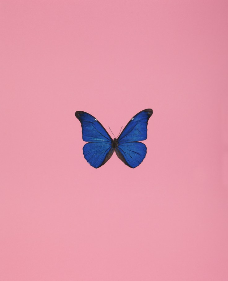 New beginnings, 2011