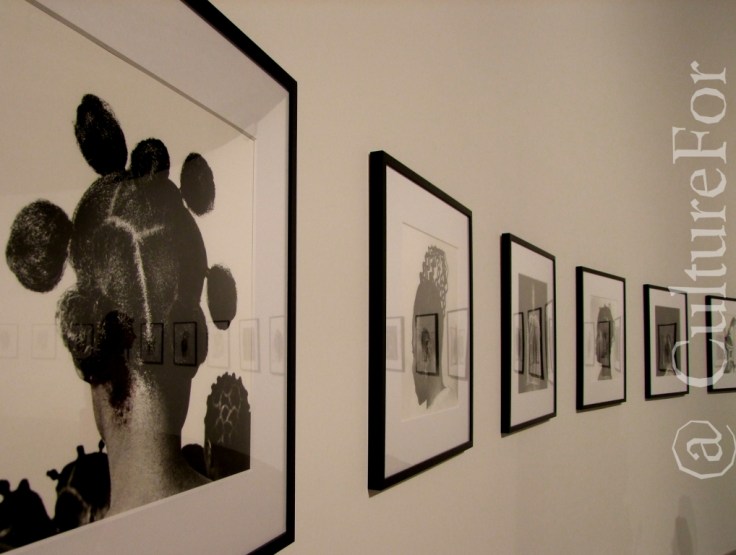 Biennale d'Arte @Venezia_www.culturefor.com-2