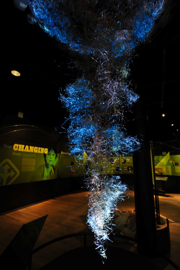 Brain. Il Cervello, istruzioni per l'uso_ www.culturefor.com