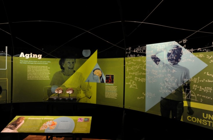 Brain. Il Cervello, istruzioni per l'uso_ www.culturefor.com