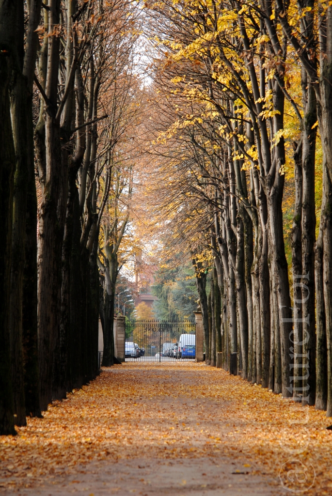 L'Autunno nei Giardini della Villa Reale di Monza _www.culturefor.com