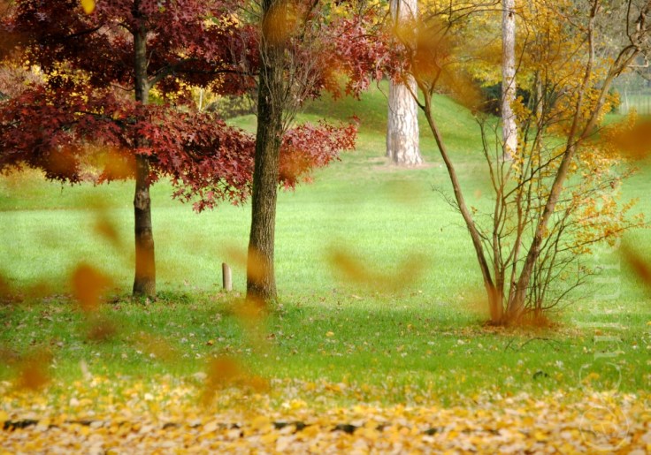 L'Autunno nei Giardini della Villa Reale di Monza _www.culturefor.com