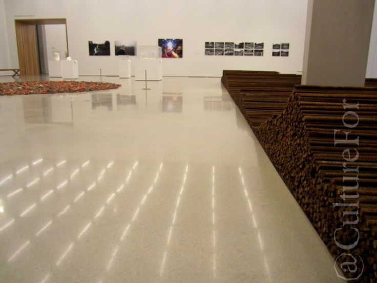 Ai Wei Wei al PAMM @Miami _ www.culturefor.com-9