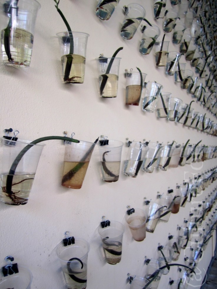 Science Museum @Miami _ www.culturefor.com-2