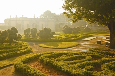 Morning mist, Bill Sumner Morning mist, Bill Sumner