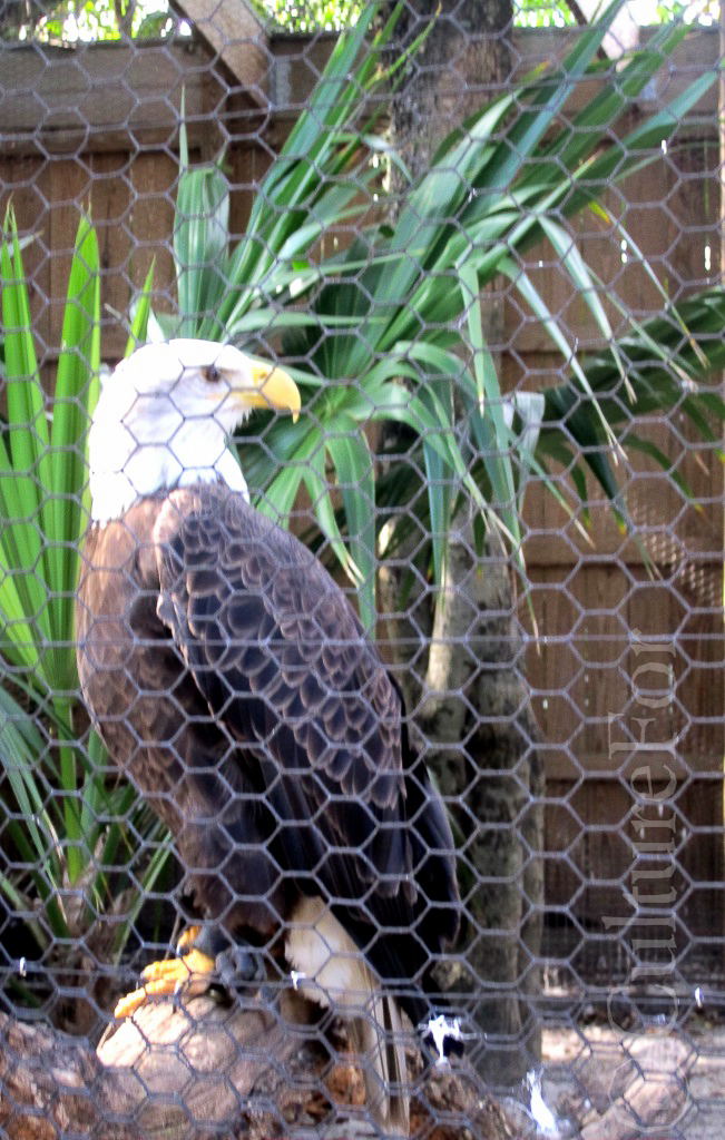 Science Museum @Miami _ www.culturefor.com