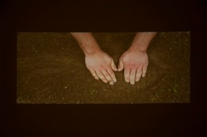 ELVIS HA LASCIATO L'EDIFICIO @Venezia