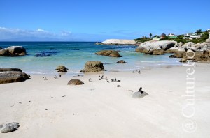 Boulders Beach @Simon's Town, Sudafrica_ www.culturefor.com