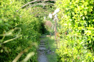 Castello Visconteo @Trezzo d'Adda_ www.culturefor.com