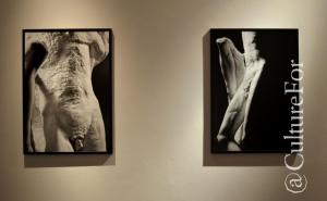 urelio Amendola @Triennale, Milano _ www.culturefor.com