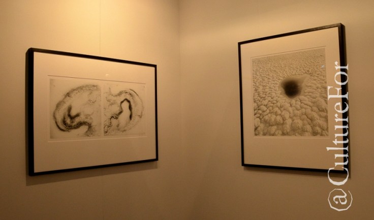 Francesco Bosso - Photo&Contemporary_MIA Fair @Superstudiopiù, Milano_ www.culturefor.com-