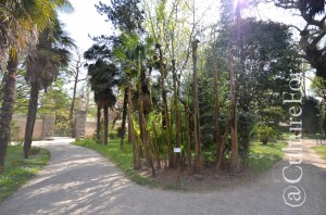 L'Orto Botanico Patrimonio dell'Unesco @Padova _ www.culturefor.com