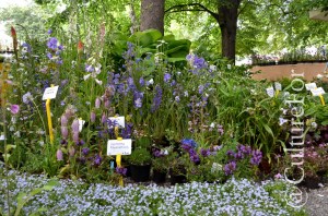 Orticola @Milano _ www.culturefor.com