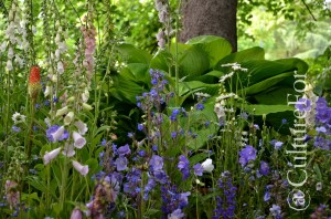 Orticola @Milano _ www.culturefor.com