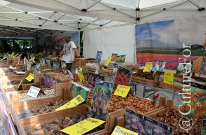 Orticola @Milano _ www.culturefor.com