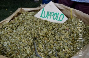 Orticola @Milano _ www.culturefor.com