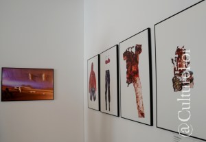 World Press Photo 2014 @Galleria Sozzani, Milano _ www.culturefor.com