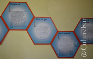 Ficcanaso al parco @Villa Mirabello, Monza _ www.culturefor.com