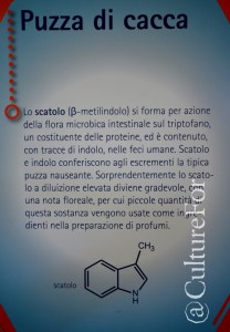 Ficcanaso al parco @Villa Mirabello, Monza _ www.culturefor.com