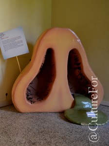 Ficcanaso al parco @Villa Mirabello, Monza _ www.culturefor.com