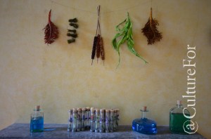 Ficcanaso al parco @Villa Mirabello, Monza _ www.culturefor.com