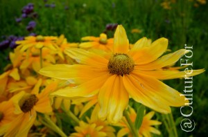 La Venaria Reale- I Giardini @Torino _ www.culturefor.com