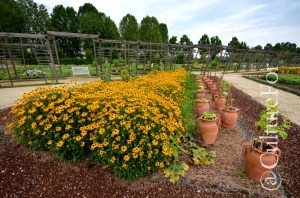 La Venaria Reale- I Giardini @Torino _ www.culturefor.com