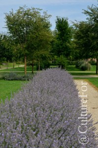 La Venaria Reale- I Giardini @Torino _ www.culturefor.com