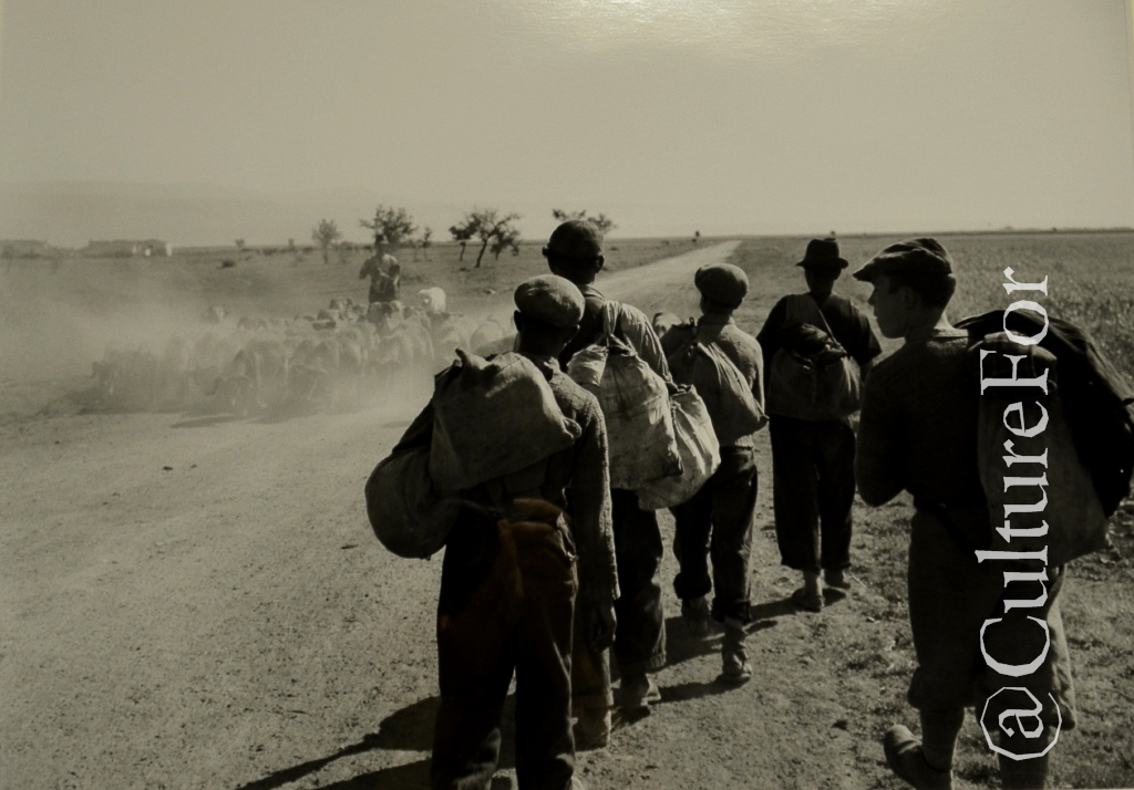 Storie dal Sud dell'Italia @Mufoco, Cinisello _ www.culturefor.com