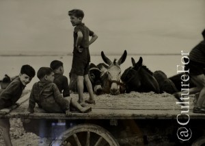 Storie dal Sud dell'Italia @Mufoco, Cinisello _ www.culturefor.com