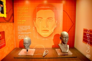 Los Angeles e il cinema_www.culturefor.com