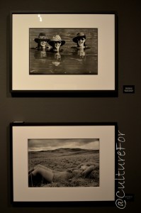 Hans Fuere @Palazzo della Permanente, Milano_ www.culturefor.com