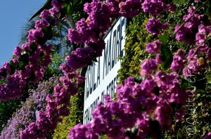 Le Isole Borromee @Lago Maggiore _ www.culturefor.com