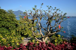 Le Isole Borromee @Lago Maggiore _ www.culturefor.com