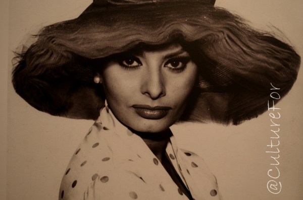 Sophia Loren @Palazzo dei Giureconsulti _ www.culturefor.com