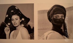 Sophia Loren @Palazzo dei Giureconsulti _ www.culturefor.com