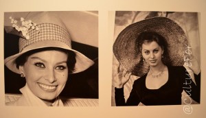 Sophia Loren @Palazzo dei Giureconsulti _ www.culturefor.com