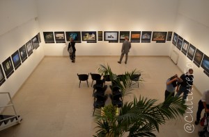 Wildlife Photographer of the Year 2014 @Museo Minguzzi, Milano_ www.culturefor.com