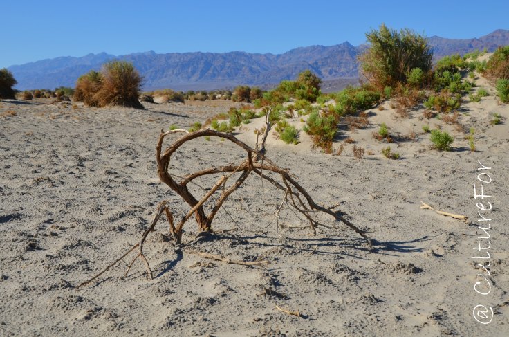 Death Valley_www.culturefor.com
