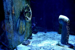 Acquario Civico @Milano_ www.culturefor.com